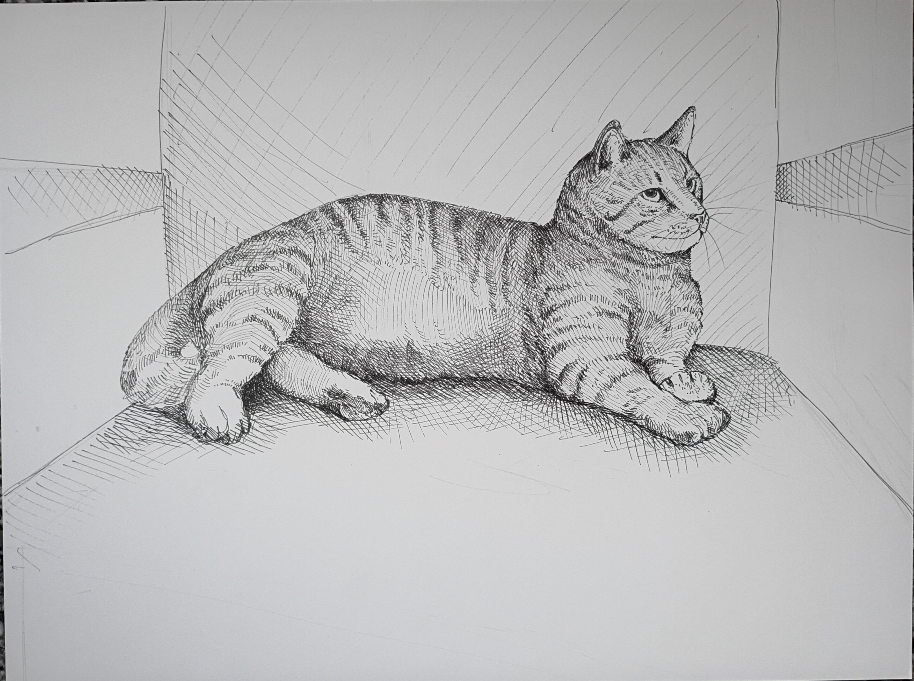 Kyle, Ink on Paper, 9x12 in. Direct Observation Study, 2026