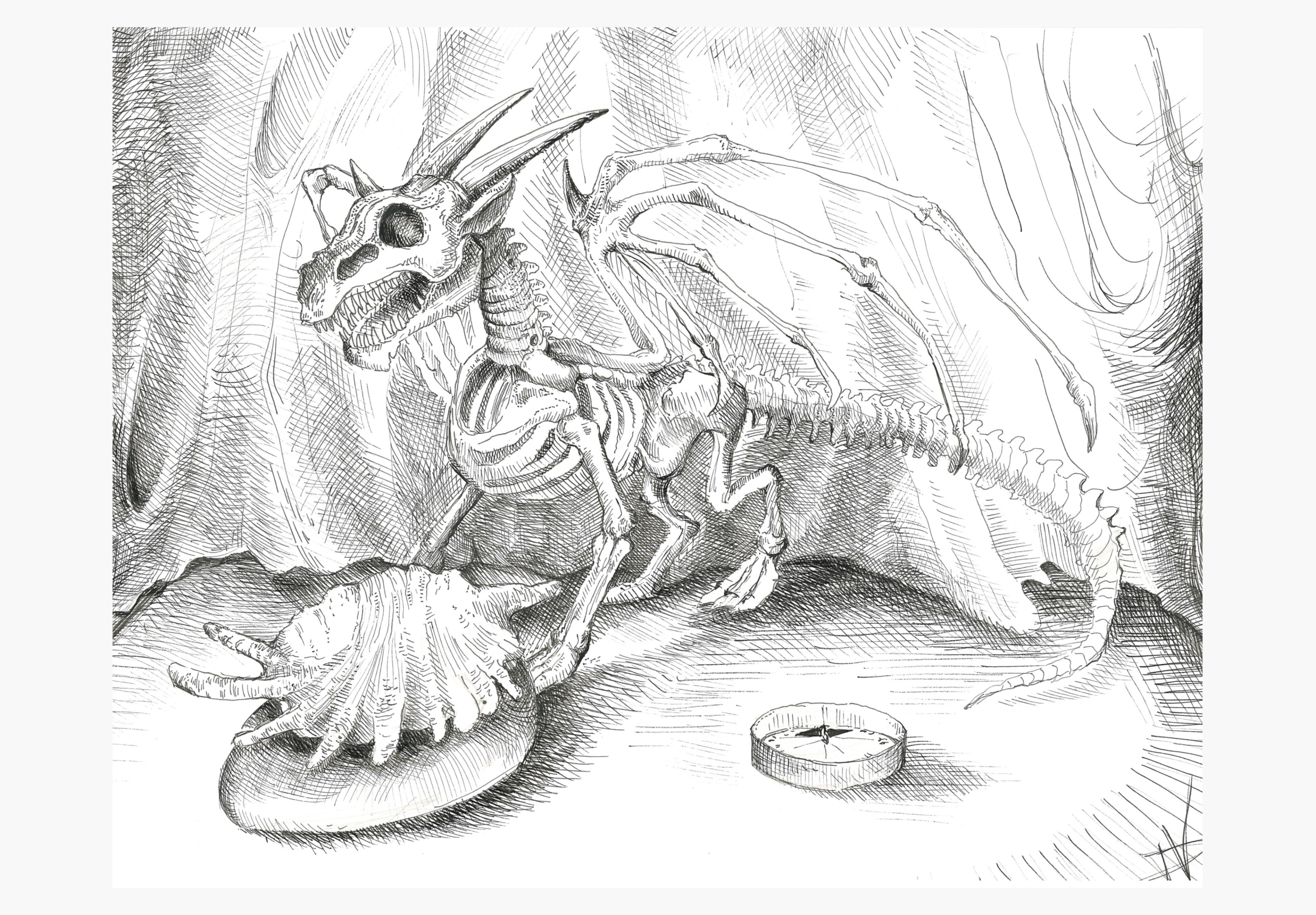 Dragon Skeleton: Ink on Paper, 9x12 in, 2026