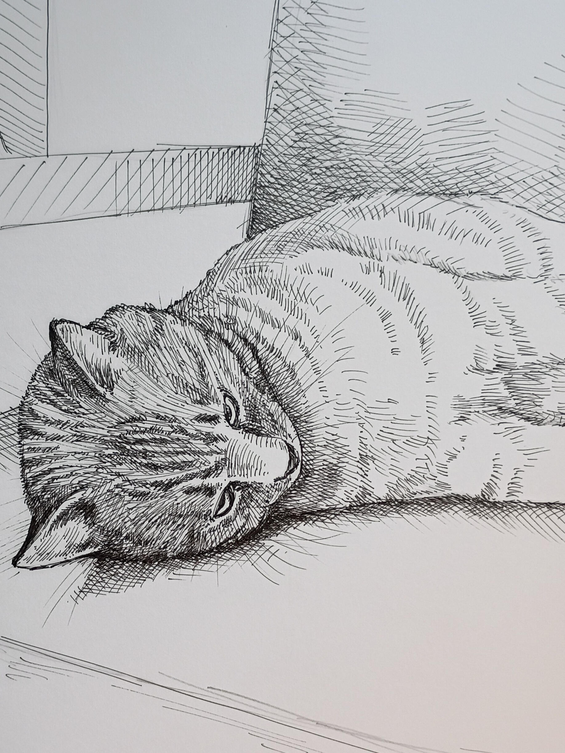 DRAFT: Still-life, Ink on Paper, 9x12 in, 2026.
